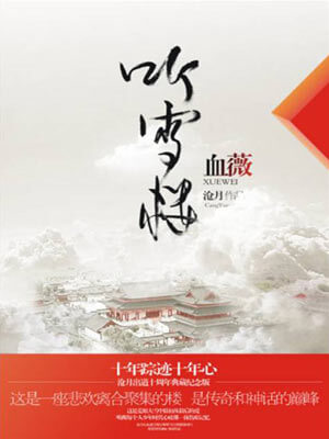 听雪楼·血薇小说封面