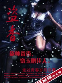 盗香小说封面