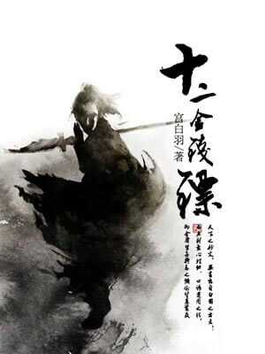 十二金钱镖小说封面