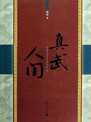 真武人间小说封面