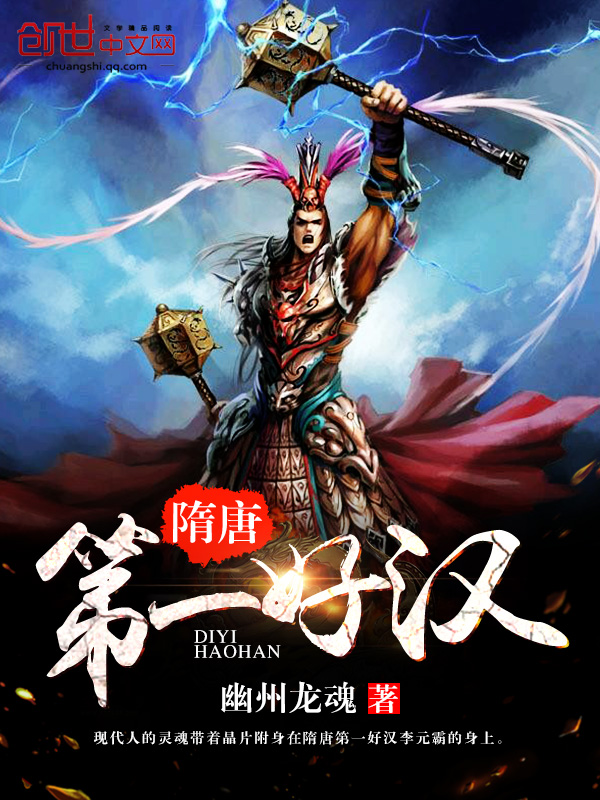 隋唐第一好汉小说封面