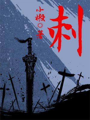 刺小说封面