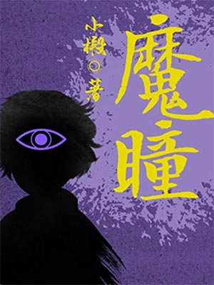 魔瞳小说封面
