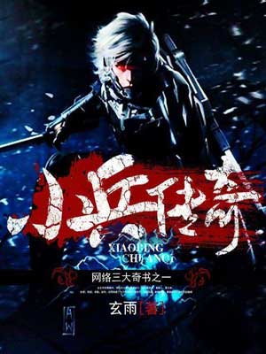 小兵传奇小说封面
