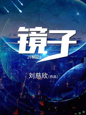 镜子小说封面