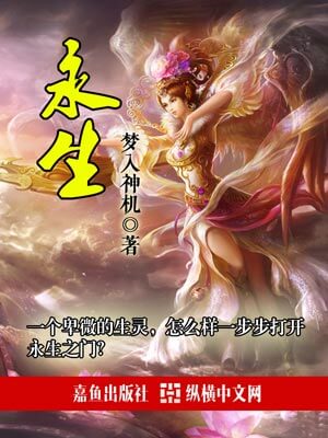 永生小说封面