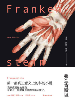弗兰肯斯坦小说封面