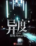 异度小说封面