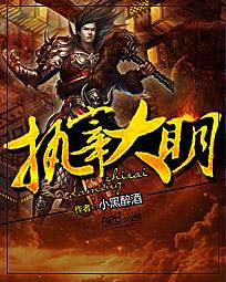 执宰大明小说封面