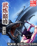 武炼巅峰小说封面