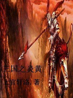 三国之召唤崛起小说封面