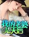 我的老婆是天后小说封面