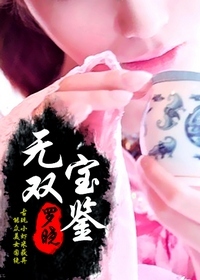 无双宝鉴小说封面