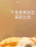 于是麦麦决定离家出走小说封面