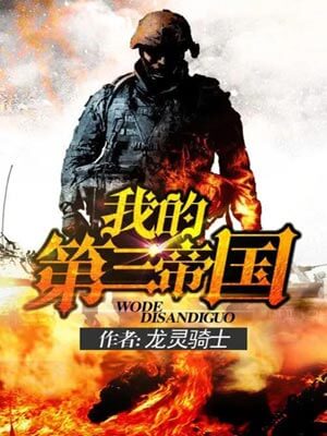 我的第三帝国小说封面