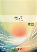 探花小说封面