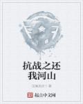 抗战之还我河山小说封面