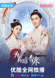 洗铅华（为有暗香来原著小说）小说封面
