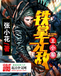 铁掌无敌王小军小说封面