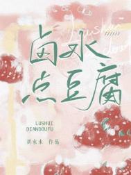 卤水点豆腐小说封面