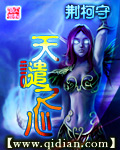 天谴之心小说封面