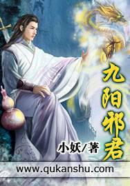 九阳邪君小说封面