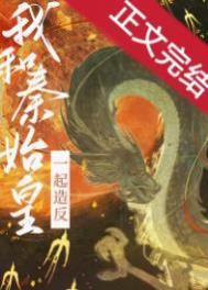 和秦始皇一起造反小说封面