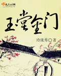 玉堂金门小说封面