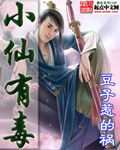 小仙有毒小说封面