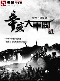 辛亥大军阀小说封面