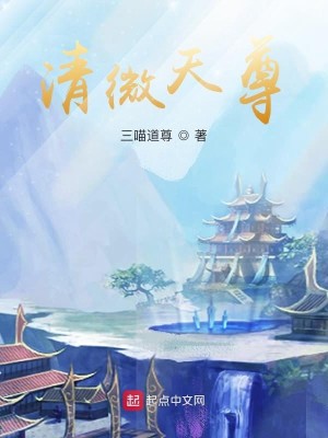 清微天尊小说封面
