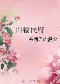 归德侯府小说封面