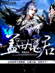 盖世魔君小说封面