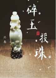 碎玉投珠小说封面