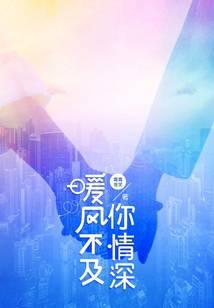 暖风不及你情深小说封面