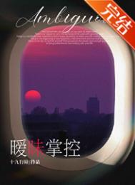 暧昧掌控小说封面