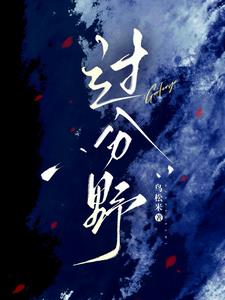 过分野小说封面