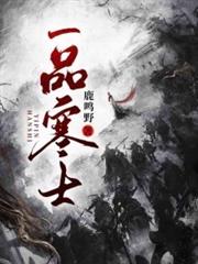 一品寒士小说封面