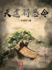 天道罚恶令小说封面