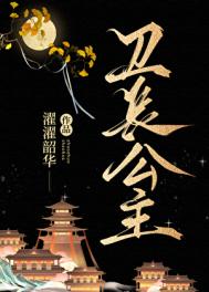 卫长公主小说封面