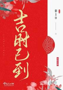 吉时已到小说封面