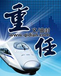 重任小说封面