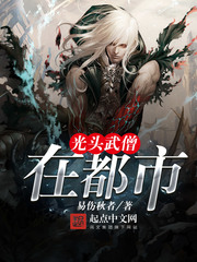 光头武僧在都市小说封面