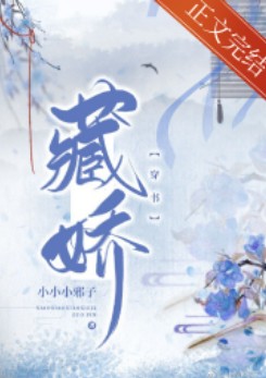 藏娇（穿书）小说封面