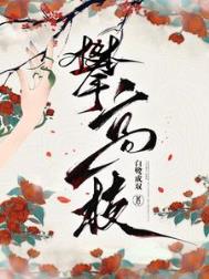 攀高枝小说封面