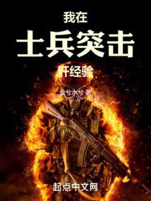 我在士兵突击肝经验小说封面