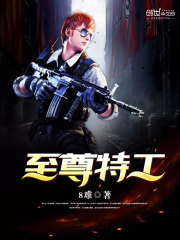 至尊特工小说封面