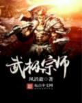 武极宗师小说封面