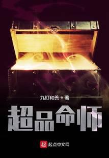 超品命师小说封面