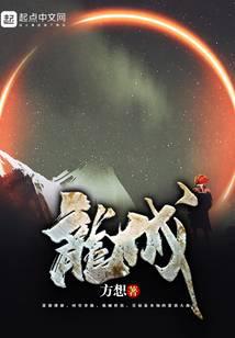 龙城小说封面